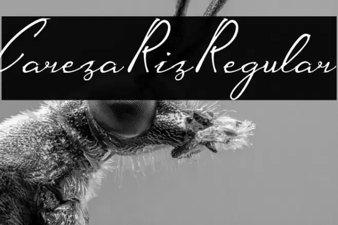 CarezaRizRegular Font examples