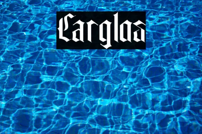 Carglos Example 2