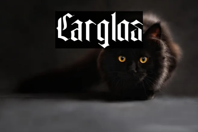 Carglos Example 3