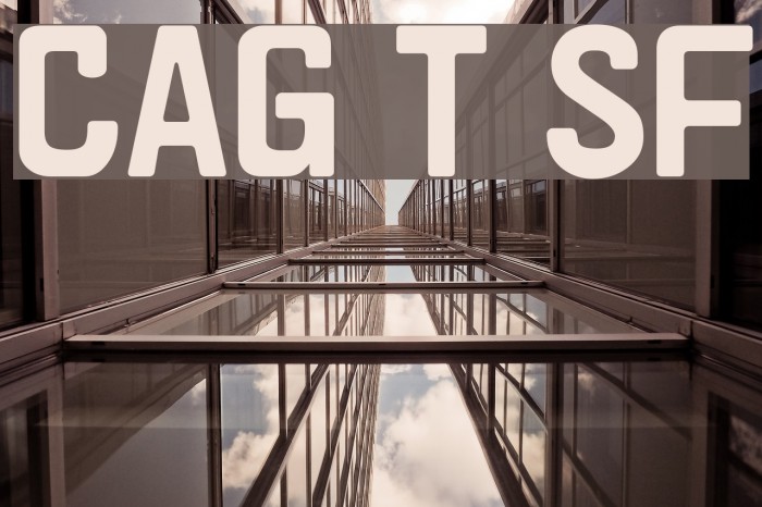 Cargo Two SF Font examples