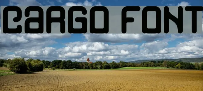 Cargo Example 2