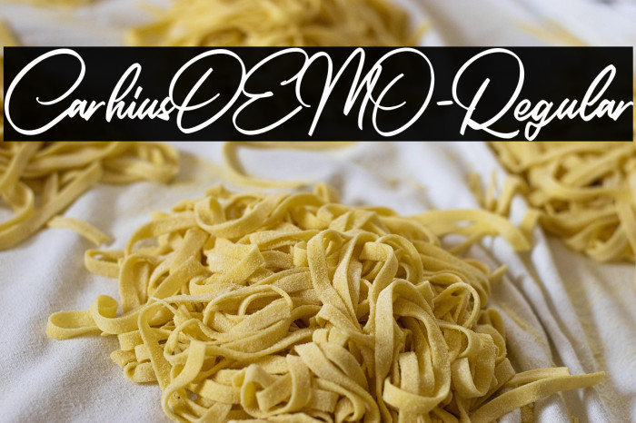 CarhiusDEMO-Regular Example 1