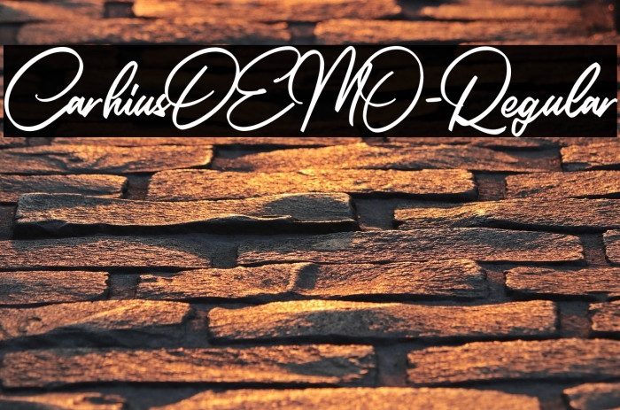 CarhiusDEMO-Regular Example 2