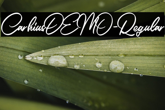 CarhiusDEMO-Regular Example 3