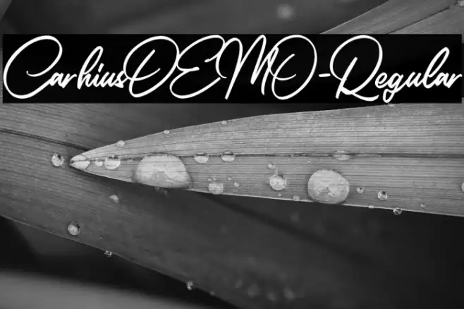 CarhiusDEMO-Regular Font examples