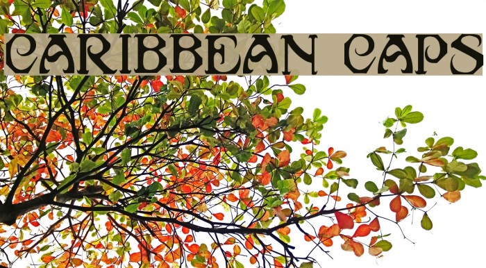 Caribbean Caps Font examples