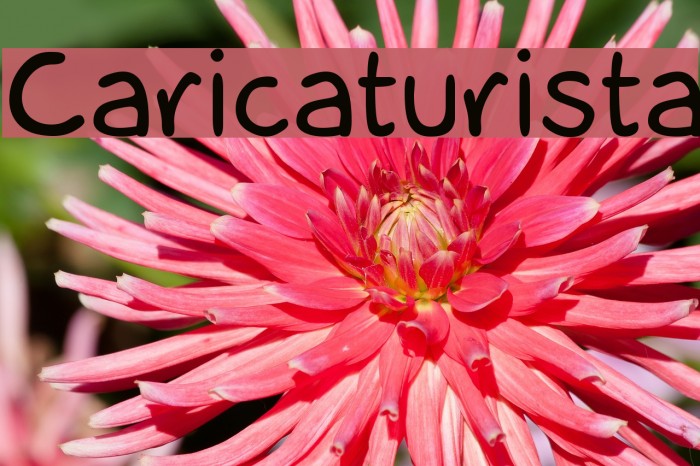 Caricaturista Font examples