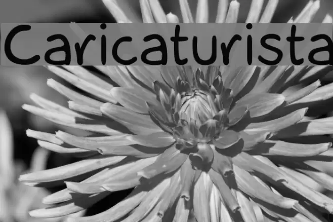 Caricaturista Font examples