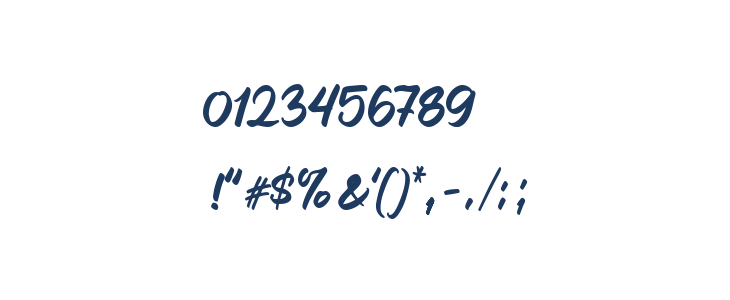 Caride Script Regular Other Characters