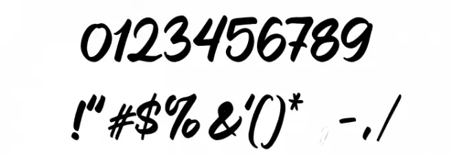 Caride Script Regular Font OTHER CHARS