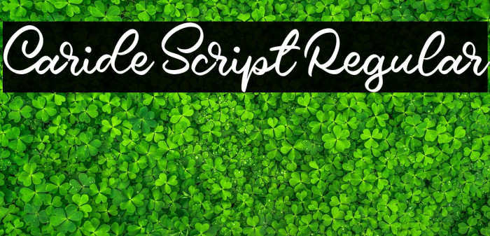 Caride Script Regular Example 2