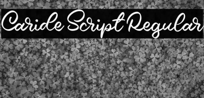 Caride Script Regular Font examples