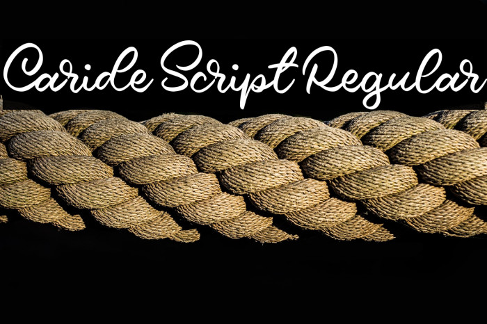 Caride Script Regular Example 3