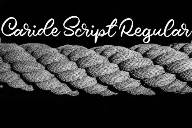 Caride Script Regular Font examples
