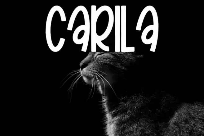 Carila Font examples