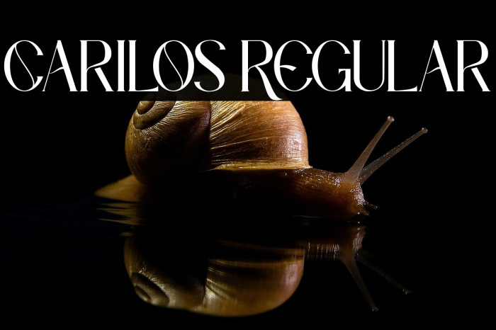 Carilos Regular Example 1