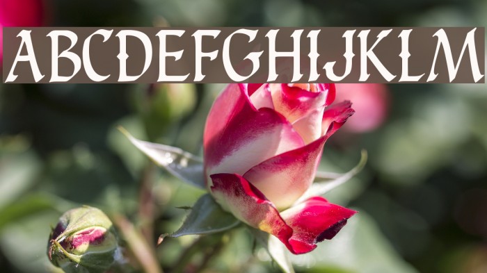Carinthia Demo Font examples