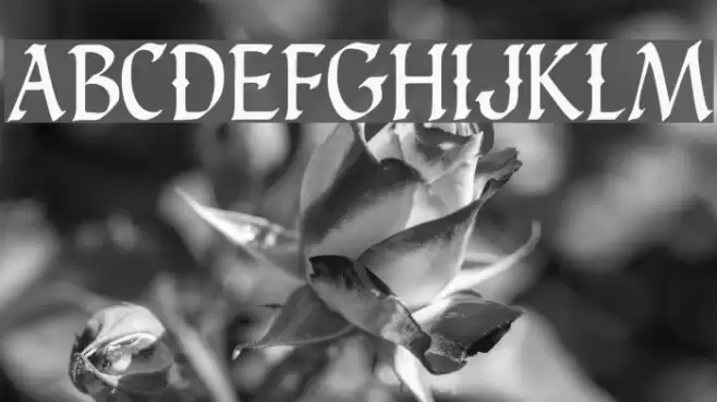 Carinthia Demo Font examples