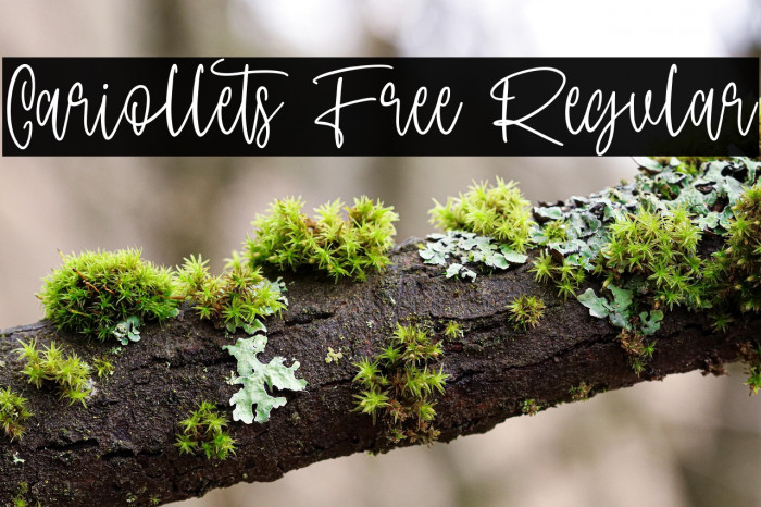 Cariollets Free Regular Example 1