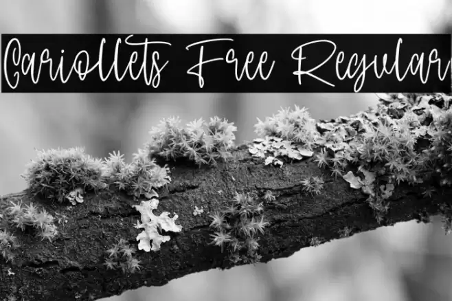 Cariollets Free Regular Fonte examples