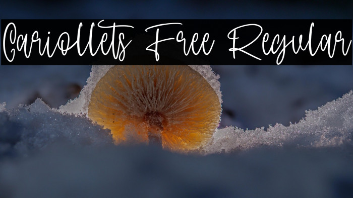 Cariollets Free Regular Example 2