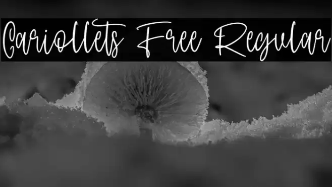 Cariollets Free Regular Fonte examples