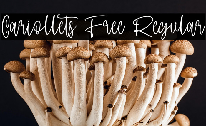 Cariollets Free Regular Example 3