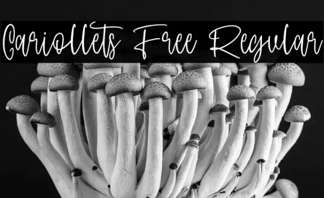 Cariollets Free Regular Fonte examples