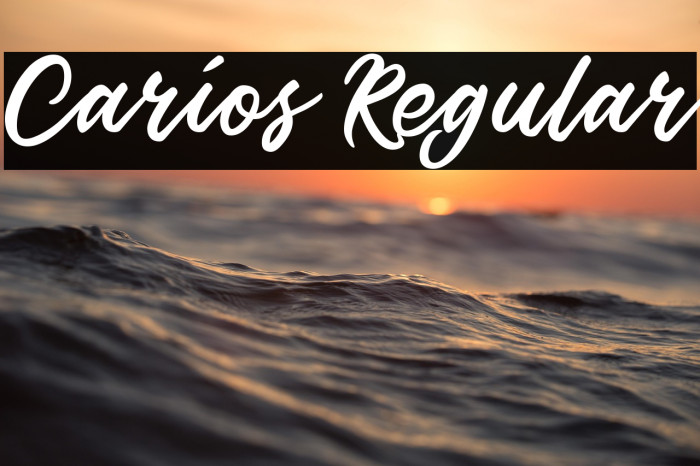 Carios Regular Example 1