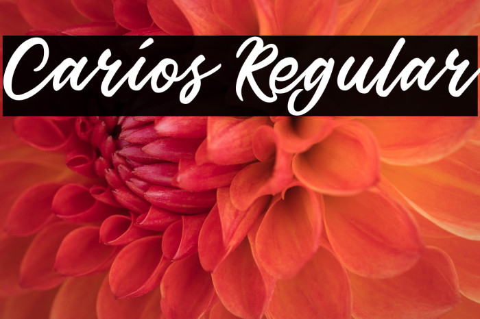 Carios Regular Example 2
