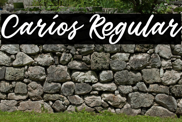 Carios Regular Example 3