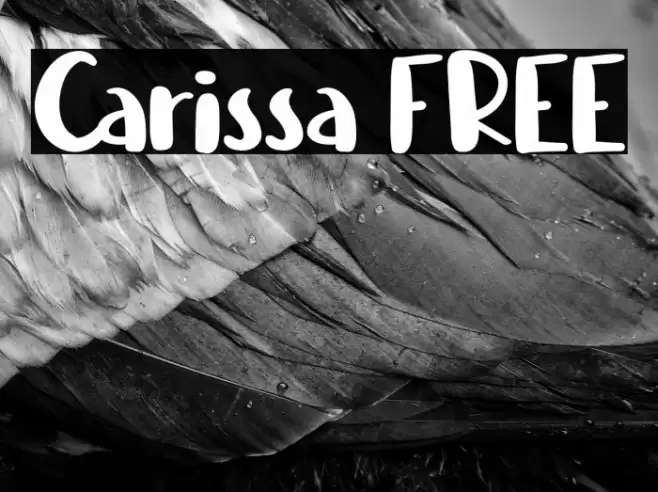 Carissa FREE Шрифта examples