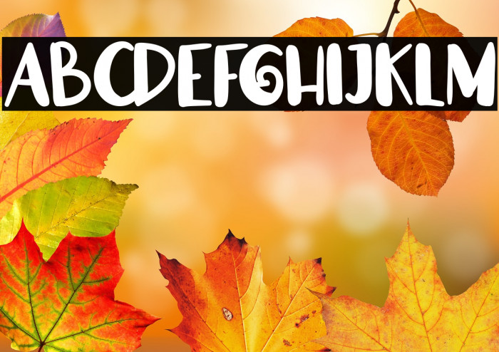 CarissaFREE Example 2