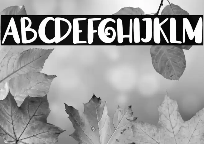 CarissaFREE Polices examples