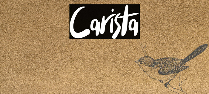 Carista Example 2