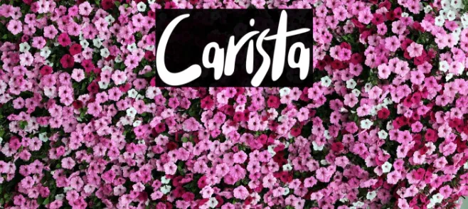 Carista Example 3