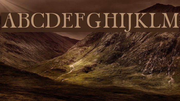 Carita Regular Example 3