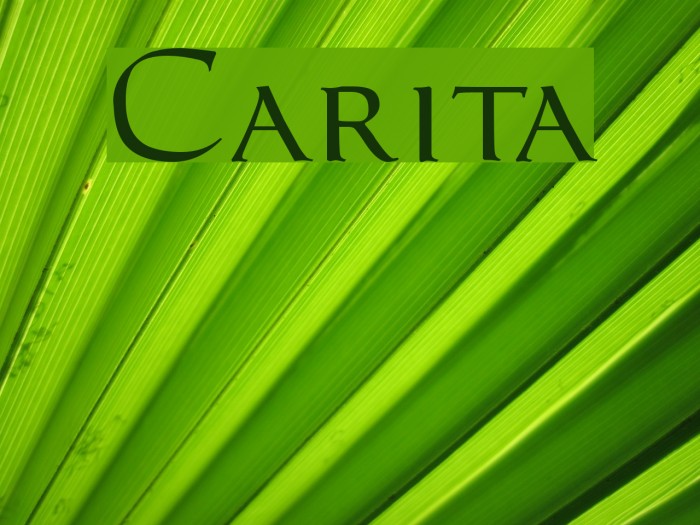 Carita Polices examples