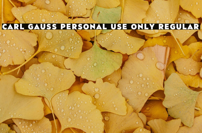 Carl Gauss PERSONAL USE ONLY Regular Example 1