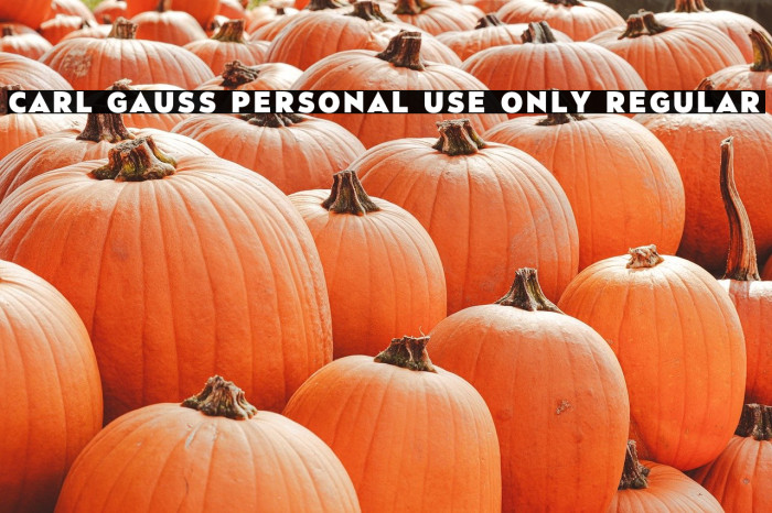 Carl Gauss PERSONAL USE ONLY Regular Example 3