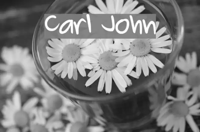 Carl John Font examples
