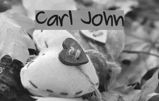Carl John Font examples