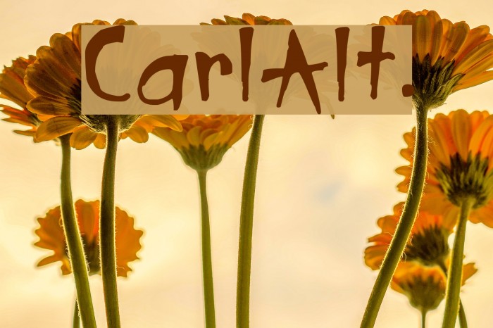 CarlAlt. Font examples