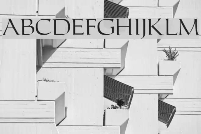 Carleton Schriftart examples