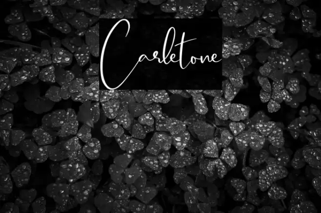 Carletone Font examples