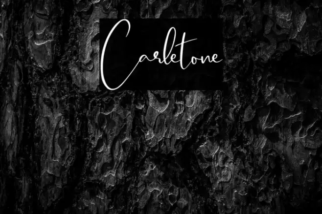 Carletone Font examples