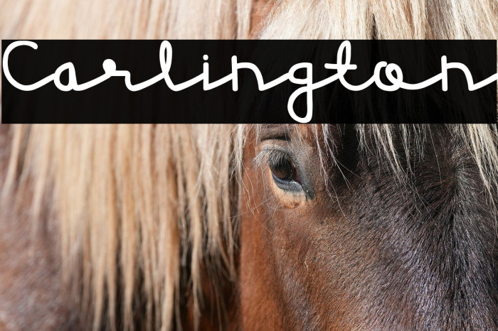 Carlington Example 1