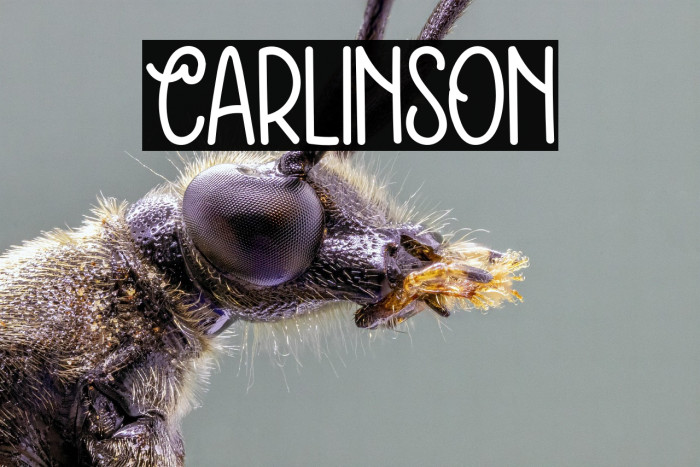 Carlinson Example 2