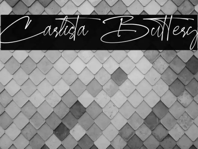 Carlista Buttery Font examples
