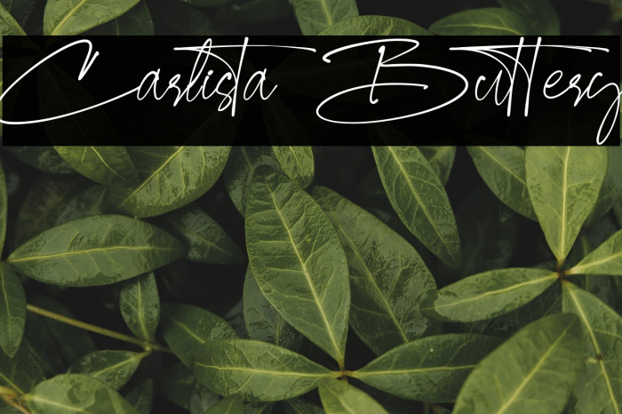 Carlista Buttery Example 3